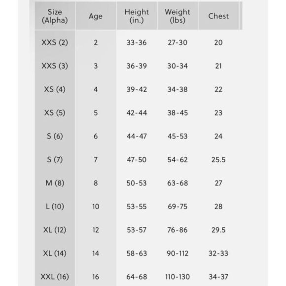 Crewcuts gray and gold star hoodie - xxs - 2-3 - Picture 6 of 6